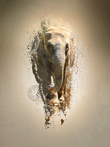 大象抽象的动物概念可以用于壁纸画布印刷装饰横幅T图片
