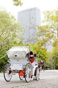 美国纽约市中央公园交通美国图片