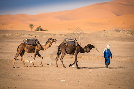 摩洛哥撒哈拉沙漠Hassilabied撒哈拉沙漠图片