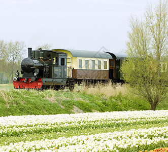 蒸汽火车HoornMedembli图片