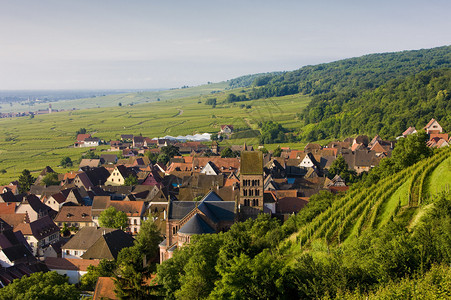 法国阿尔萨斯的村庄图片