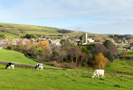 Abbotsbury村DorsetEngland英国图片