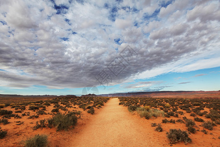 荒沙漠路图片