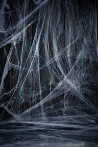 万圣节与蜘蛛网的木制背景图片
