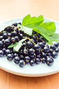 黑醋栗成熟的浆果和绿叶图片