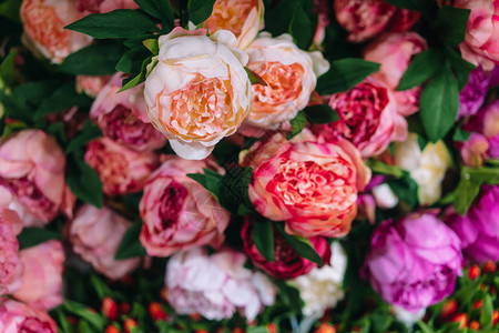 花店里有很多漂亮浪漫的花朵图片