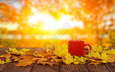 秋叶和热腾的咖啡月亮桌日光背景图片