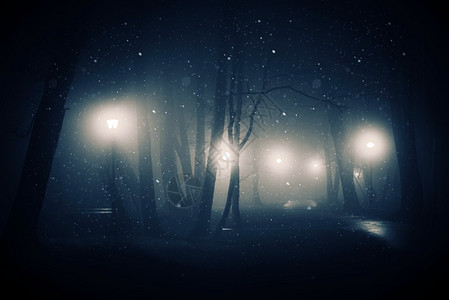 夜间在旧雾公园落雪神秘公园图片