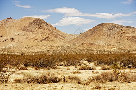 Mojave沙漠景观莫哈韦沙漠加利福尼亚州图片