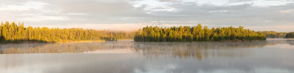 有晨雾的森林湖全景图片