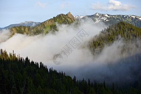 美国华盛顿奥运公园的雾区奥运山脉图片