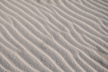 沙纹风饰横照图片