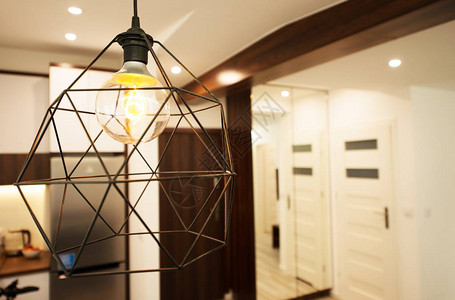 现代公寓照明装饰室内客厅灯图片