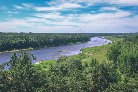 大河和森林风景图片