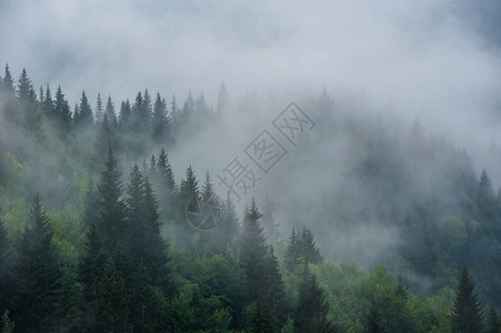 格鲁吉亚斯瓦涅蒂的雾中有山坡风图片