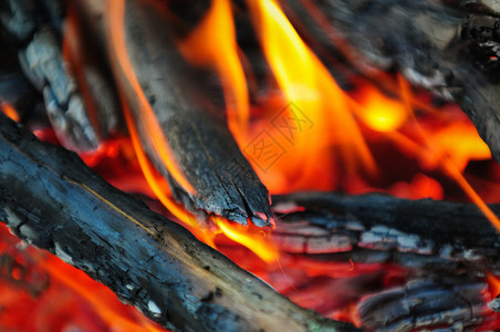 燃烧的木头图片