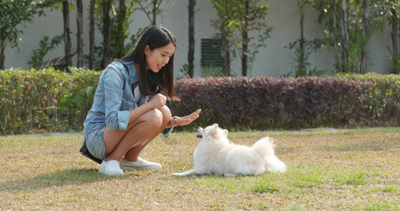 在户外公园和狗玩耍的女人图片