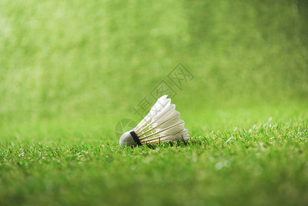 绿色草地上羽毛球用白色羽毛球的特写视图图片