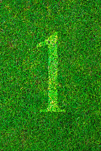 绿草上的白线编号图片