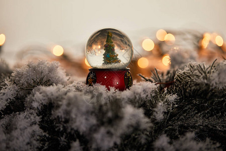 装饰雪球和圣诞树在雪中与灯泡一图片