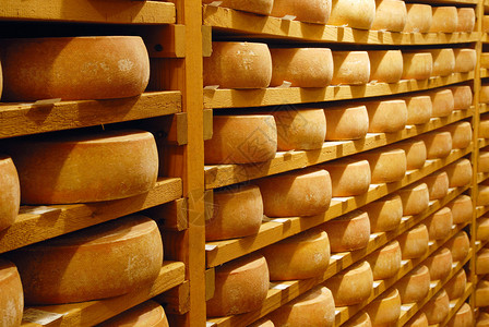 在瑞士地窖中提炼的奶酪拉克雷特图片