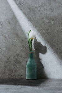 白春郁金花瓶蓝色花瓶灰色图片