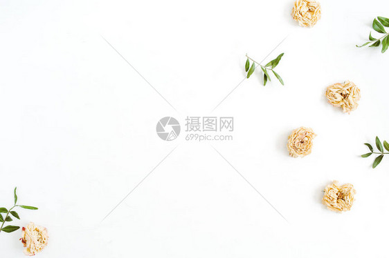 由白色背景上的干淡米色玫瑰制成的花卉边框图片