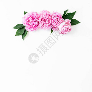 与粉红色玫瑰花朵和叶子白色背景的花卉框架图片
