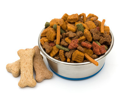 一碗白色背景上的狗粮给你的狗喂好吃的图片