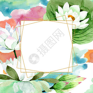 水彩白莲花卉植物花框架边框装饰广场背景纹理包装图案框架或边框图片