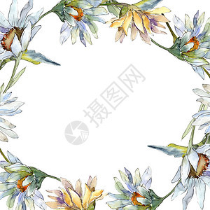 白色雏菊花框架边框装饰广场背景纹理包装图案框架或边框图片