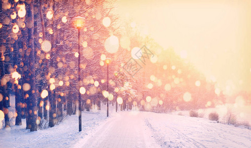 冬季公园背景上的雪花公园里的降雪寒冷的冬天日落图片
