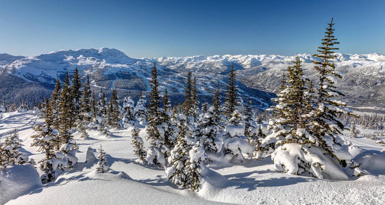 惠斯勒山在一个阳光明媚的冬日加拿大不列颠哥伦比亚省图片