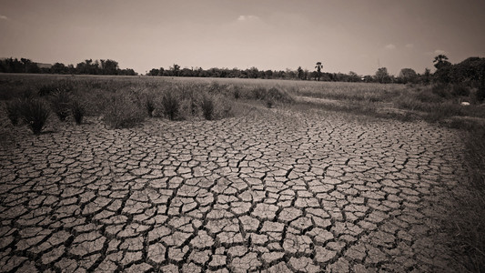 世界危机农场干裂土背景图片