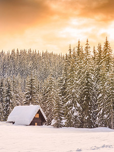 斯洛文尼亚阿尔卑斯欧洲的冬季度假屋图片