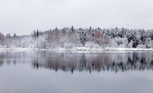 森林中的白色冬季景观湖图片