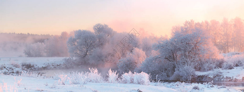 明亮的冬天日出圣诞早晨白霜树红冬阳光图片