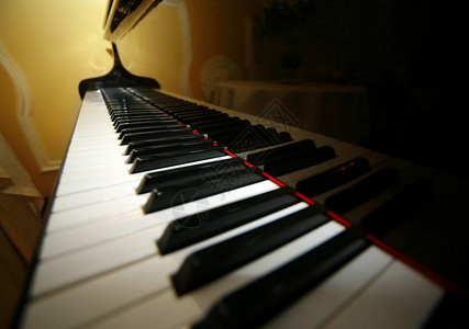 大钢琴乌木和象牙琴键图片