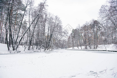 冰雪森林中的冰冻河流和树木图片