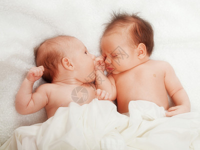 双胞胎两周大的宝高清图片