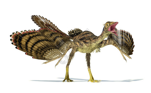 始祖鸟恐龙的逼真和科学正确的表示动态视图在上图片