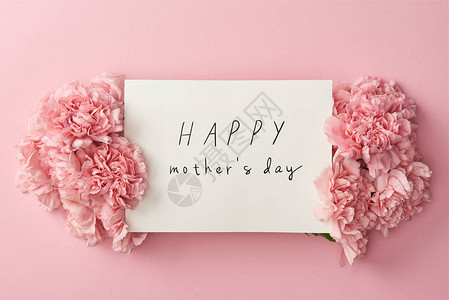 贺卡顶端有快乐母亲日间写信和粉红背景的粉红康乃图片