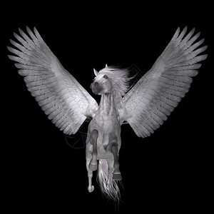 Pegasus是一只复仇的神圣翅膀种马图片