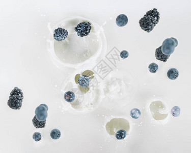 黑莓和蓝莓落入白色背景的牛奶图片