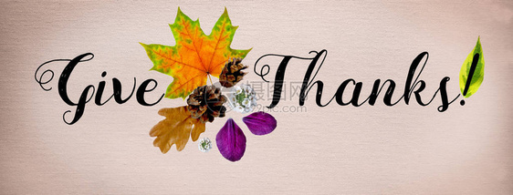 横向覆盖感恩节快乐网站手写字体拼图和雕刻的秋叶锥形花朵和花瓣平面顶部视图片