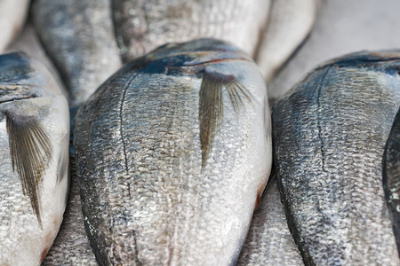 鱼市场特写镜头上的新鲜多拉图片