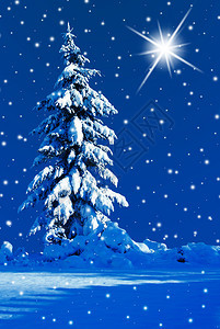 雪夜与天空中的北极星图片