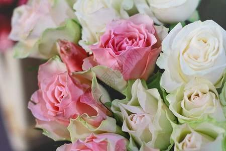 白玫瑰和粉红玫瑰烟雾图片