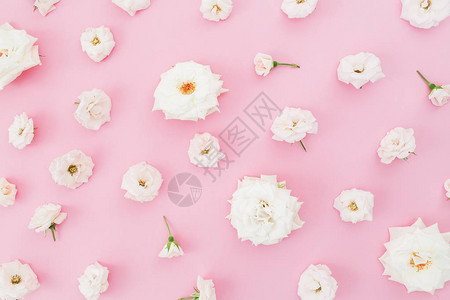 粉红背景的花朵布置图片