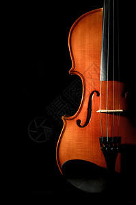 黑色背景上的特写小提琴管弦乐器图片